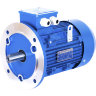 Электродвигатель Guanglu GL561-4 0.06 кВт 1300 об/мин алюминиевый