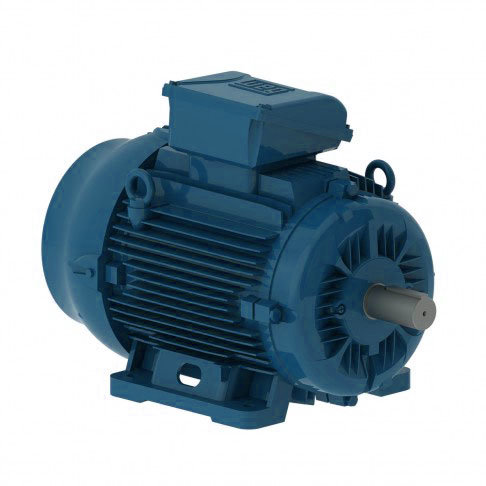 Электродвигатель WEG W22 315S/M 75 кВт DIN чугунный 750 об/мин