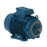 Электродвигатель WEG W22 315S/M 132 кВт DIN чугунный 1500 об/мин