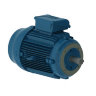 Электродвигатель WEG W22 315S/M 160 кВт DIN чугунный 1500 об/мин
