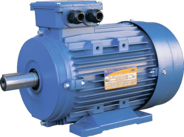 Электродвигатель  5АИ 200 L8 общепромышленный