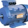 Электродвигатель  5АИ 200 L8 общепромышленный