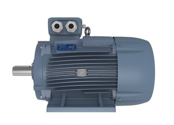 Электродвигатель Motive DELPHI 355MA-8 чугунный 132 кВт