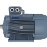 Электродвигатель Motive DELPHI 355MA-8 чугунный 132 кВт