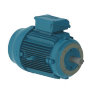 Электродвигатель WEG W20 315S/M 132 кВт чугунный 1500 об/мин